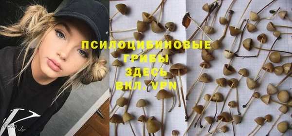 мдпв Волоколамск