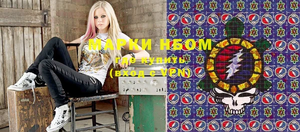 шишки Медвежьегорск