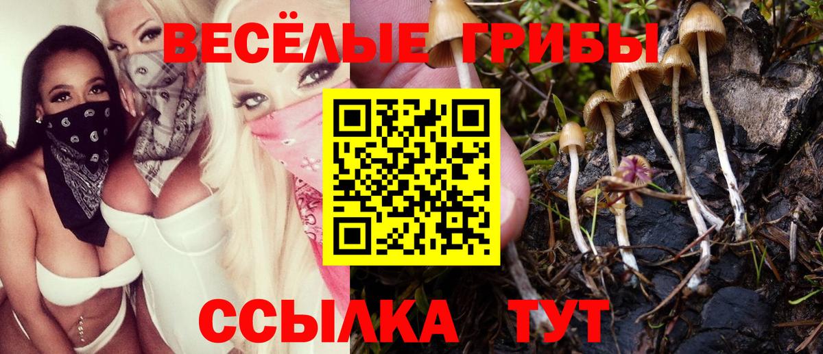 купить наркотики сайты  Вход с VPN  Галлюциногенные грибы Psilocybine cubensis  Киреевск  Псилоцибиновые грибы Magic Shrooms 