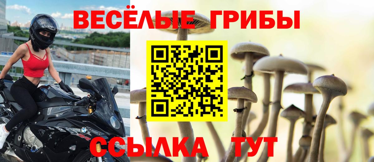 Псилоцибиновые грибы MAGIC MUSHROOMS Киреевск
